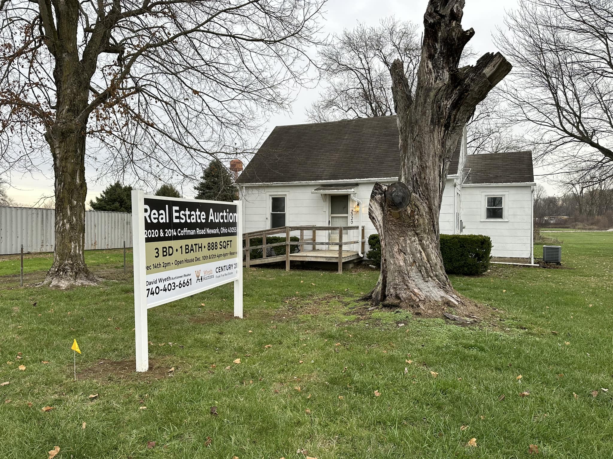 david auction photo 2